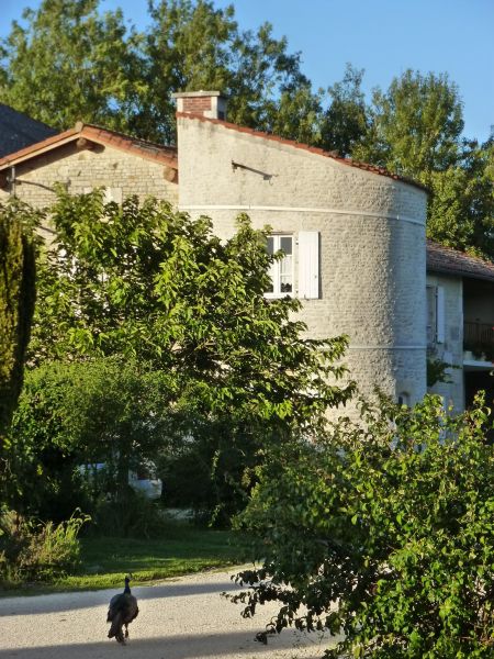 foto 1 Affitto tra privati La Rochelle gite Poitou-Charentes Charente-Maritime Vista esterna della casa vacanze