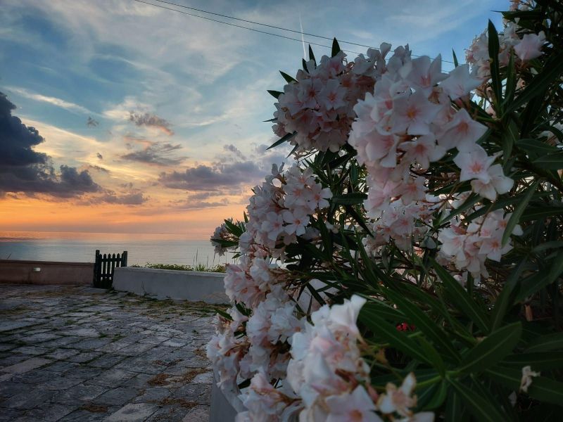 foto 25 Affitto tra privati Rodi Garganico appartement Puglia Foggia (provincia di)