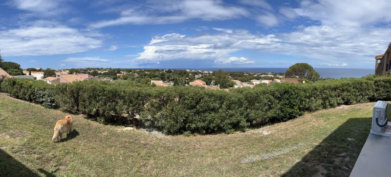 foto 13 Affitto tra privati Lumio studio Corsica Corsica settentrionale Vista dal terrazzo