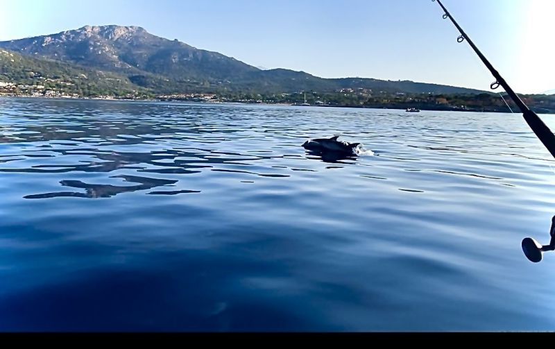 foto 21 Affitto tra privati Lumio studio Corsica Corsica settentrionale Vista nelle vicinanze