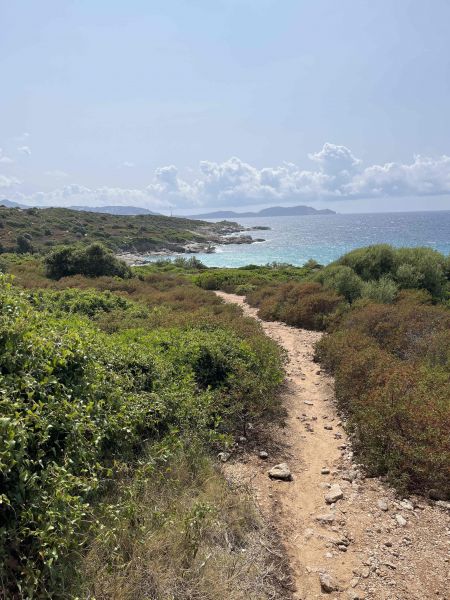 foto 19 Affitto tra privati Lumio studio Corsica Corsica settentrionale Vista nelle vicinanze