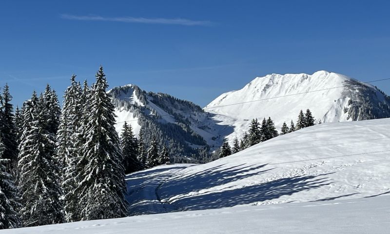 foto 2 Affitto tra privati La Clusaz studio Rodano Alpi Alta Savoia