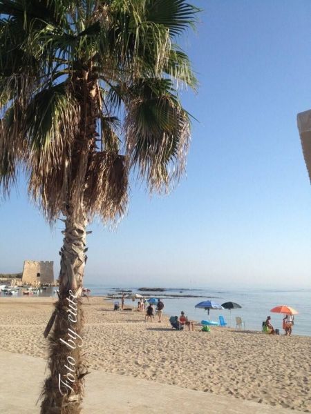 foto 3 Affitto tra privati Ostuni villa Puglia Brindisi (provincia di) Spiaggia