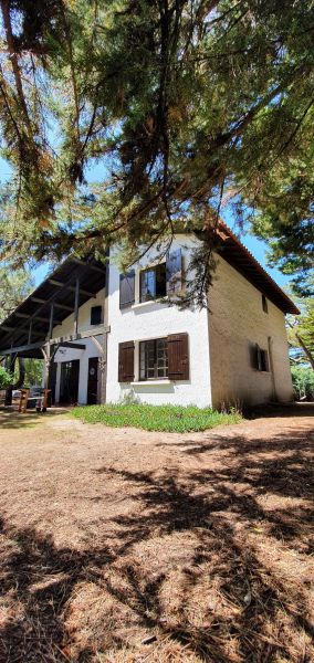 foto 1 Affitto tra privati Cap Ferret villa Aquitania Gironda (Gironde) Vista esterna della casa vacanze