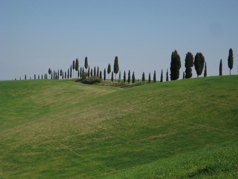 foto 5 Affitto tra privati San Gimignano appartement Toscana Siena (provincia di) Altra vista