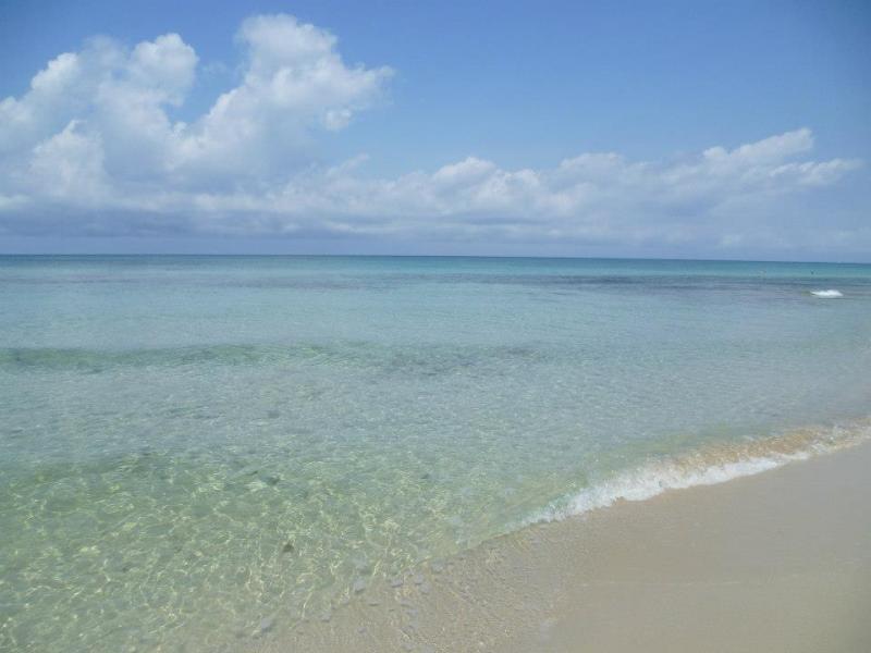 foto 25 Affitto tra privati Polignano a Mare appartement Puglia Bari (provincia di) Altra vista