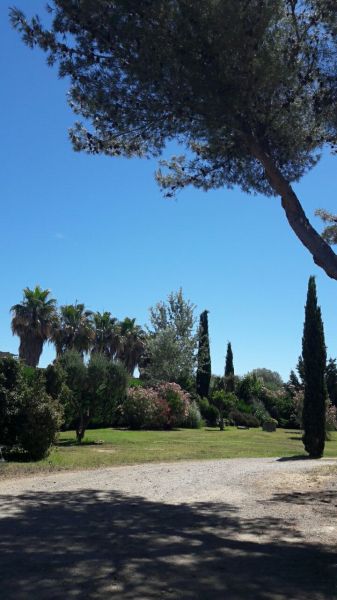 foto 21 Affitto tra privati Saint Tropez appartement Provenza Alpi Costa Azzurra Var Giardino