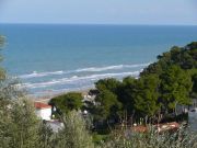 Affitto case mare Peschici: appartement n. 101780