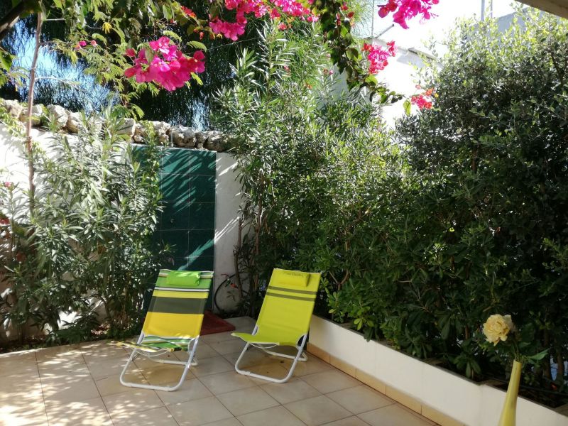 foto 13 Affitto tra privati Ostuni appartement Puglia Brindisi (provincia di) Giardino