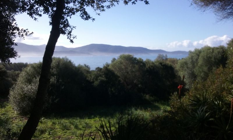 foto 12 Affitto tra privati Olmeto maison Corsica Corsica del Sud Vista dalla casa vacanze