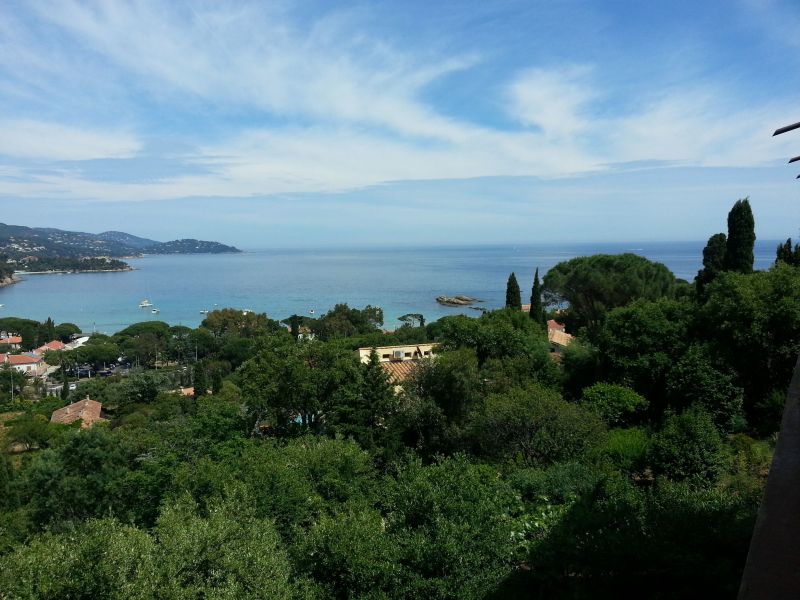 foto 0 Affitto tra privati Le Lavandou appartement Provenza Alpi Costa Azzurra Var Vista dal terrazzo