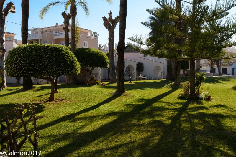 foto 16 Affitto tra privati Dnia bungalow Comunit Valenzana Alicante (provincia di) Giardino