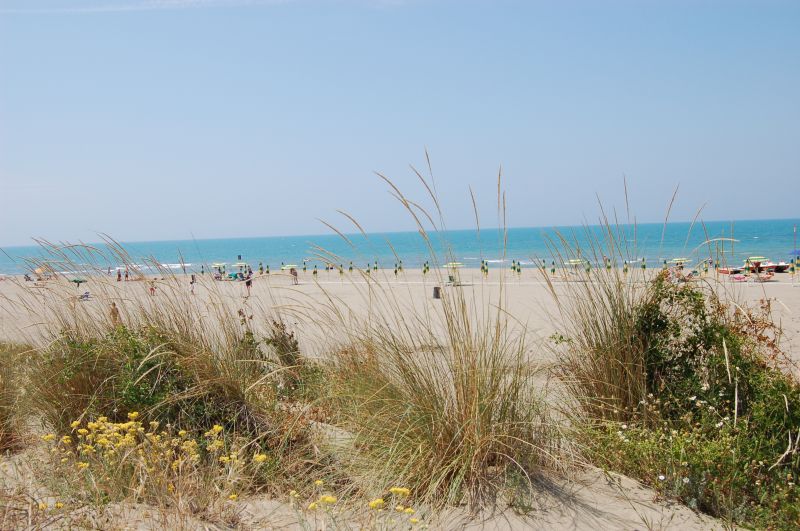 foto 0 Affitto tra privati Principina a Mare studio Toscana Grosseto (provincia di) Spiaggia