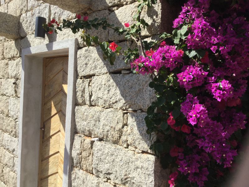 foto 2 Affitto tra privati Bonifacio maison Corsica Corsica del Sud Vista esterna della casa vacanze