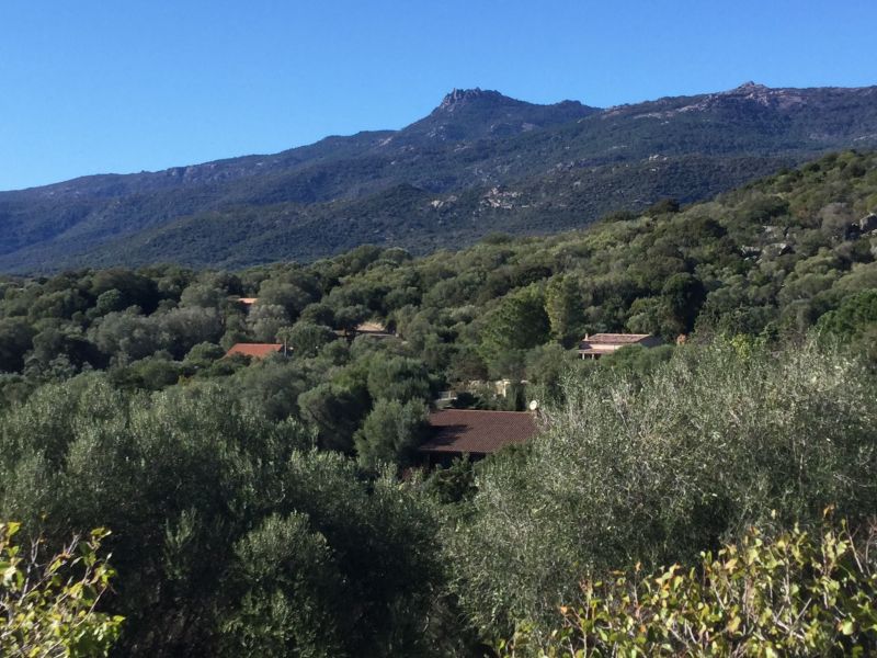 foto 20 Affitto tra privati Bonifacio maison Corsica Corsica del Sud Vista dalla casa vacanze