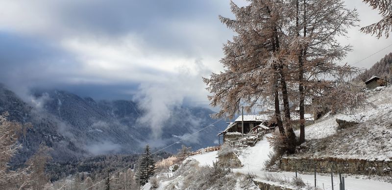 foto 13 Affitto tra privati Bionaz chalet Valle d'Aosta Aosta (provincia di) Vista esterna della casa vacanze