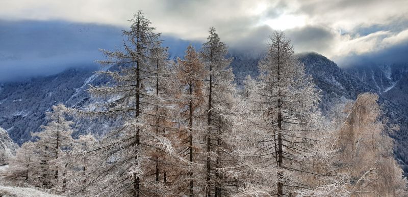 foto 14 Affitto tra privati Bionaz chalet Valle d'Aosta Aosta (provincia di) Altra vista