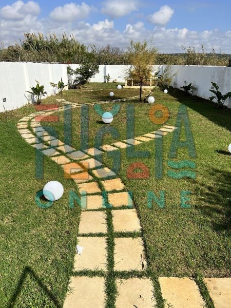 foto 25 Affitto tra privati Torre Mozza appartement Puglia Lecce (provincia di) Giardino