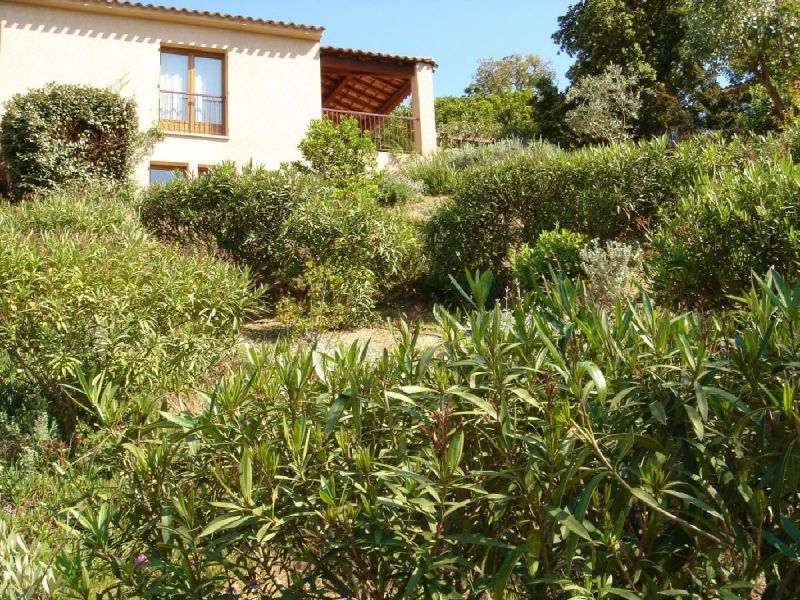 foto 17 Affitto tra privati Porticcio maison Corsica Corsica del Sud Giardino