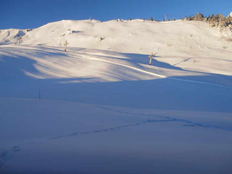 foto 28 Affitto tra privati Praz de Lys Sommand chalet Rodano Alpi Alta Savoia Vista dalla casa vacanze