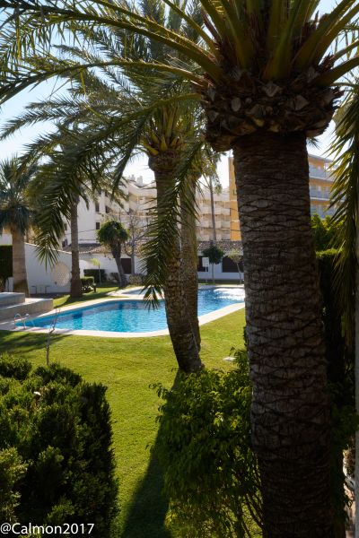 foto 7 Affitto tra privati Dnia bungalow Comunit Valenzana Alicante (provincia di) Giardino