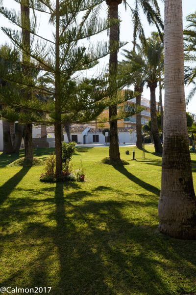 foto 4 Affitto tra privati Dnia bungalow Comunit Valenzana Alicante (provincia di) Giardino