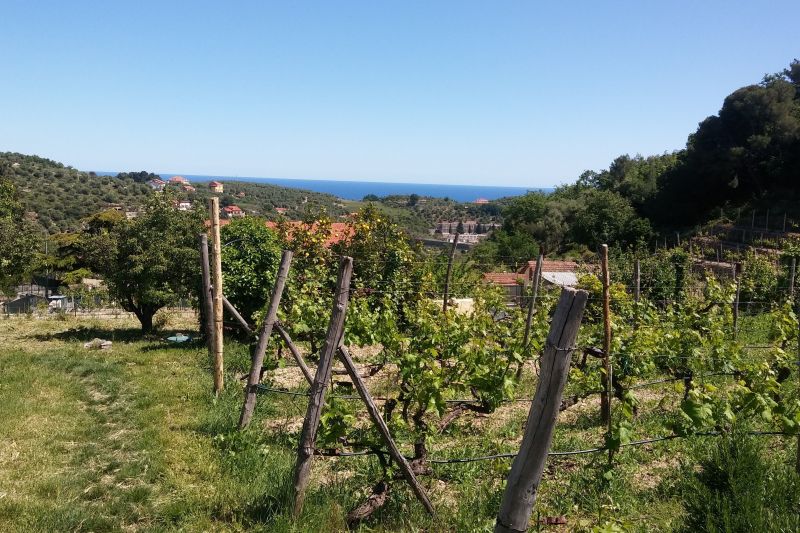 foto 0 Affitto tra privati Imperia appartement Liguria Imperia (provincia di) Vista esterna della casa vacanze