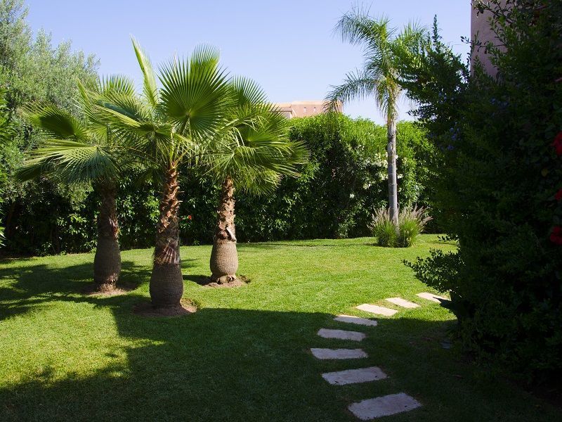 foto 1 Affitto tra privati Marrakech villa   Giardino