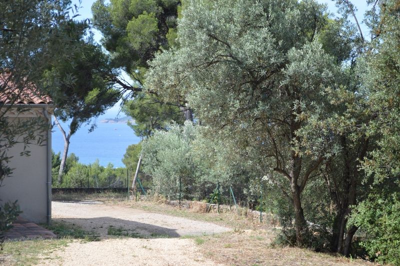 foto 18 Affitto tra privati La Ciotat gite Provenza Alpi Costa Azzurra Bocche del rodano Vista dalla casa vacanze