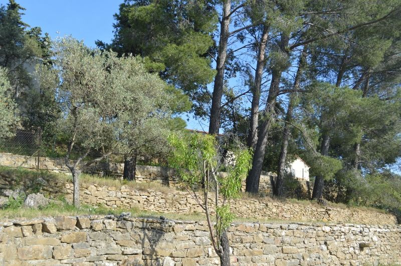 foto 22 Affitto tra privati La Ciotat gite Provenza Alpi Costa Azzurra Bocche del rodano Giardino