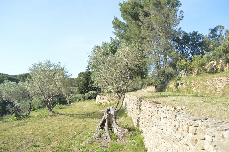 foto 25 Affitto tra privati La Ciotat gite Provenza Alpi Costa Azzurra Bocche del rodano Giardino