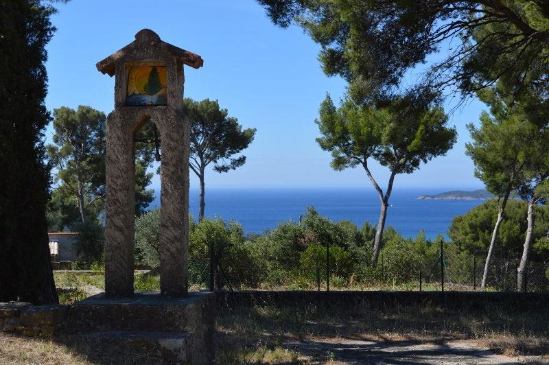 foto 21 Affitto tra privati La Ciotat gite Provenza Alpi Costa Azzurra Bocche del rodano Giardino