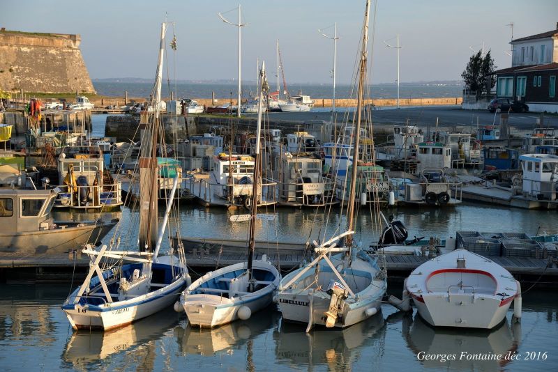 foto 10 Affitto tra privati Rochefort sur Mer studio Poitou-Charentes Charente-Maritime