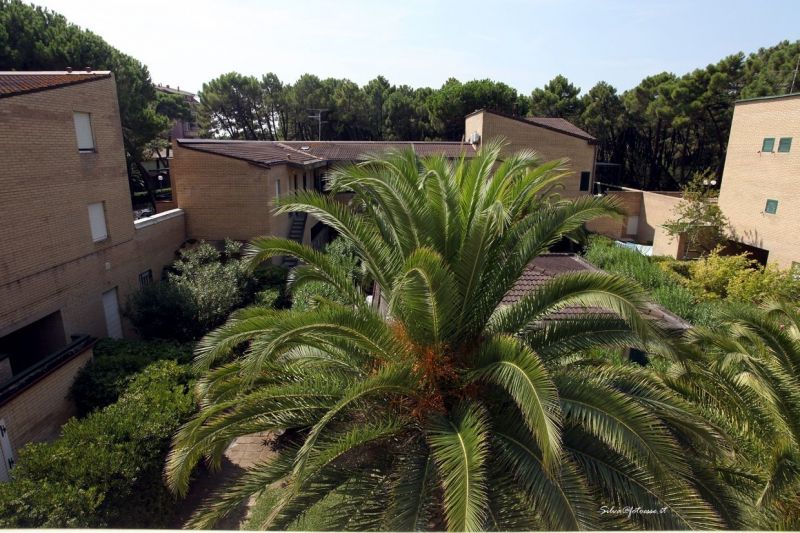 foto 1 Affitto tra privati Principina a Mare appartement Toscana Grosseto (provincia di) Vista dal terrazzo