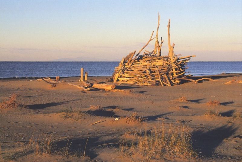 foto 26 Affitto tra privati Principina a Mare appartement Toscana Grosseto (provincia di) Spiaggia