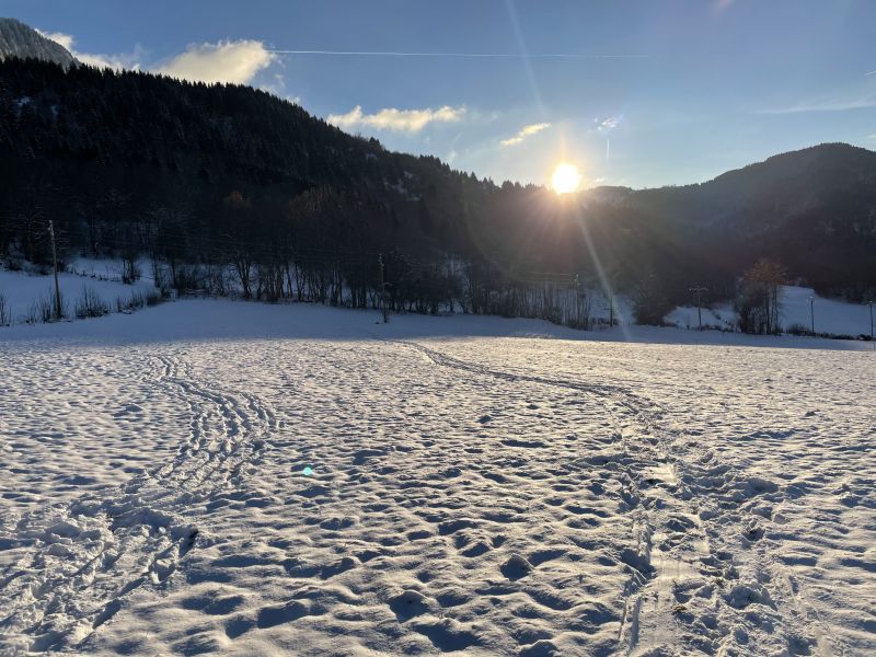 foto 1 Affitto tra privati Thollon Les Mmises appartement Rodano Alpi Alta Savoia Vista nelle vicinanze