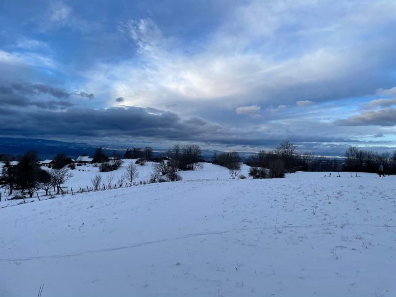 foto 0 Affitto tra privati Thollon Les Mmises appartement Rodano Alpi Alta Savoia