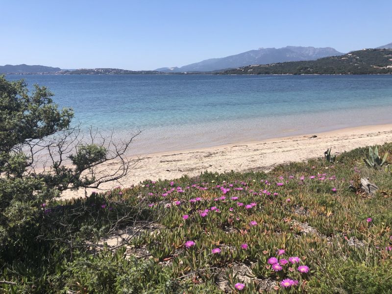 foto 15 Affitto tra privati Porto Vecchio villa Corsica Corsica del Sud Vista nelle vicinanze