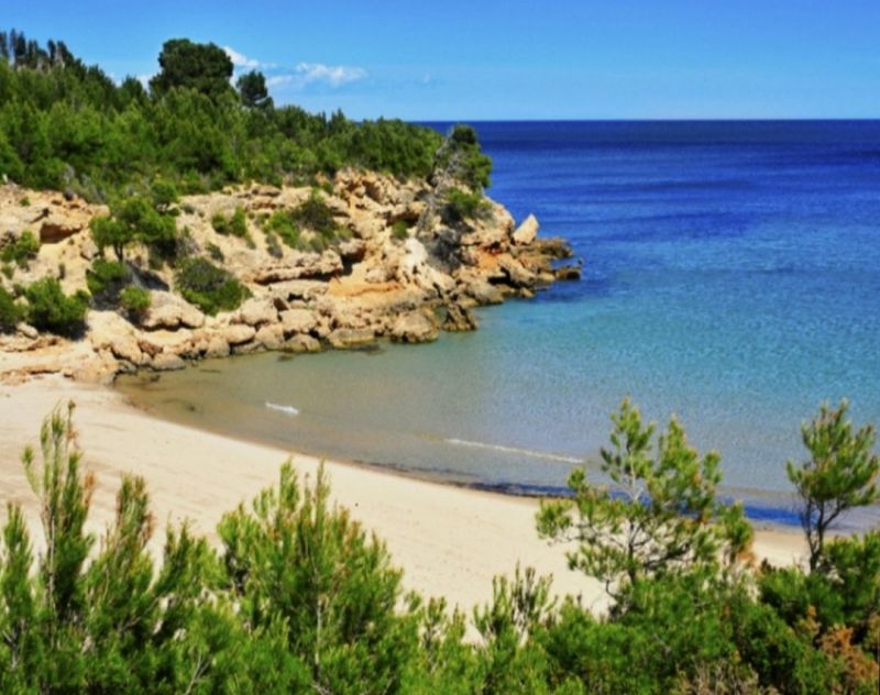 foto 17 Affitto tra privati L'Ametlla de Mar chalet Catalogna Tarragona (provincia di)