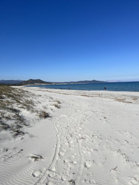 foto 4 Affitto tra privati Sa Petra Ruja villa Sardegna Nuoro (provincia di)