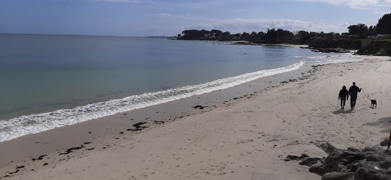 foto 1 Affitto tra privati Saint Pierre Quiberon maison Bretagna Morbihan Spiaggia