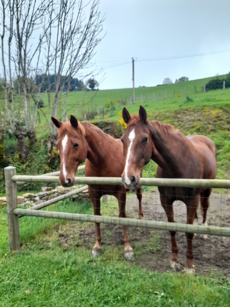 foto 9 Affitto tra privati  gite Rodano Alpi Loira