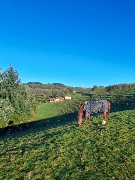 foto 12 Affitto tra privati  gite Rodano Alpi Loira