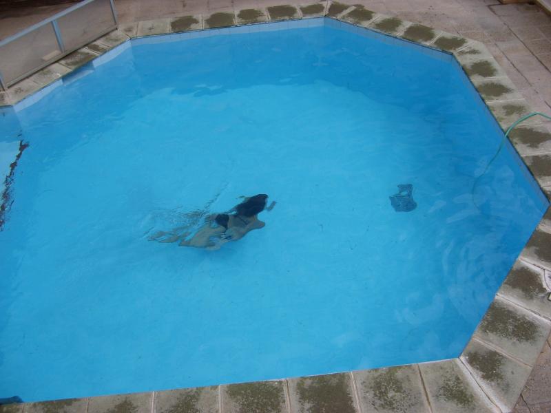 foto 1 Affitto tra privati Puerto Pollensa appartement Baleari Maiorca Piscina