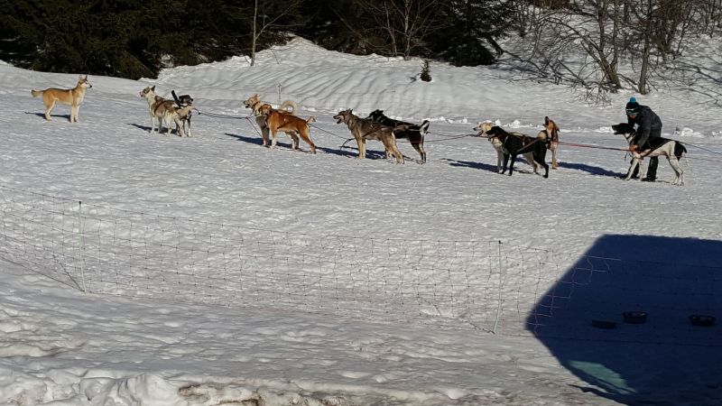 foto 19 Affitto tra privati Praz de Lys Sommand appartement Rodano Alpi Alta Savoia Altra vista