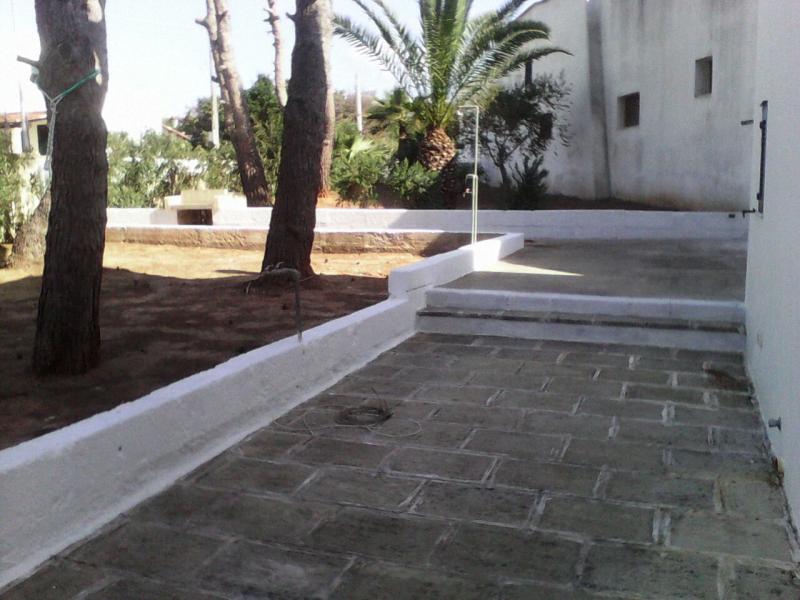 foto 16 Affitto tra privati Pescoluse appartement Puglia Lecce (provincia di) Giardino