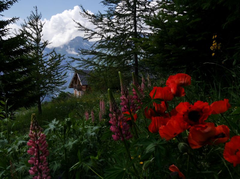foto 15 Affitto tra privati Alpe d'Huez appartement Rodano Alpi  Vista nelle vicinanze