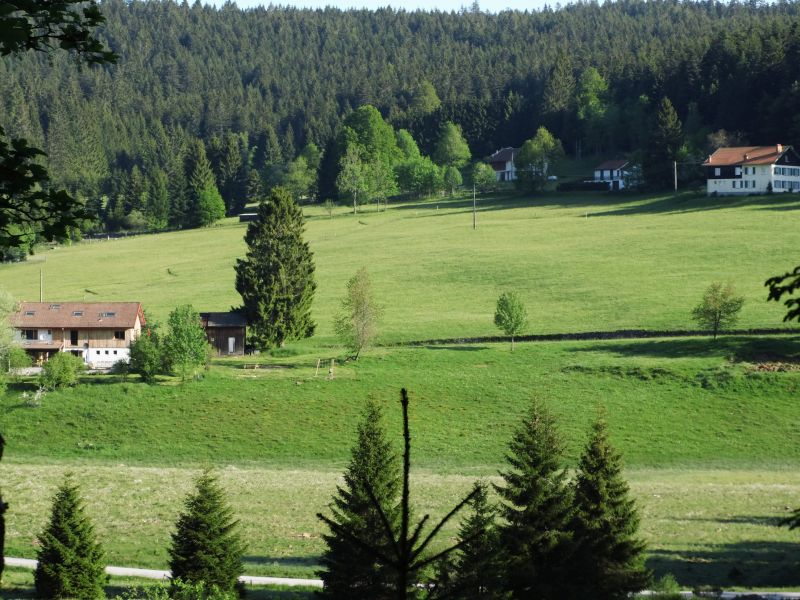 foto 18 Affitto tra privati Grardmer gite Lorena Vosgi Vista esterna della casa vacanze