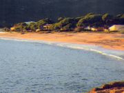 Affitto case vacanza sul mare Corsica: appartement n. 91648