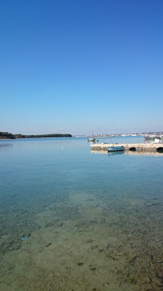 foto 12 Affitto tra privati Porto Cesareo studio Puglia Lecce (provincia di) Vista nelle vicinanze